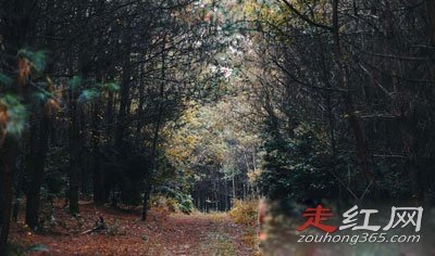 ���йֳ��¼�����צӡ����צ�� һЩ˵������һЩ˵��UFO