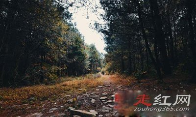 ���йֳ��¼�����צӡ����צ�� һЩ˵������һЩ˵��UFO