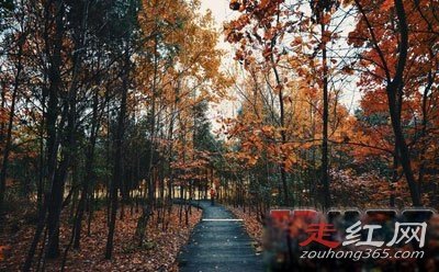 ���йֳ��¼�����צӡ����צ�� һЩ˵������һЩ˵��UFO
