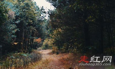 ���йֳ��¼�����צӡ����צ�� һЩ˵������һЩ˵��UFO