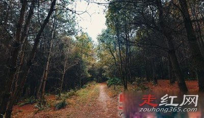 ���йֳ��¼�����צӡ����צ�� һЩ˵������һЩ˵��UFO