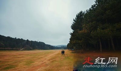 ���йֳ��¼�����צӡ����צ�� һЩ˵������һЩ˵��UFO