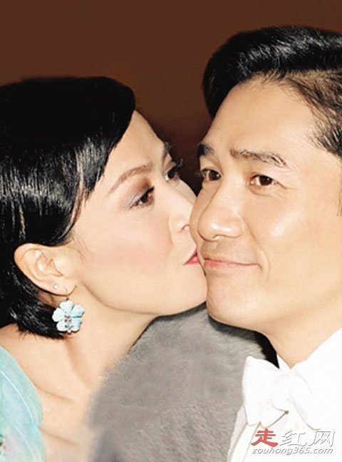 ����������ΰ���������� ����������ԭ��