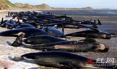 ���㱬ը��ԭ�� �����ж�������ʲô