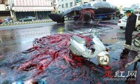 ���㱬ը��ԭ�� �����ж�������ʲô