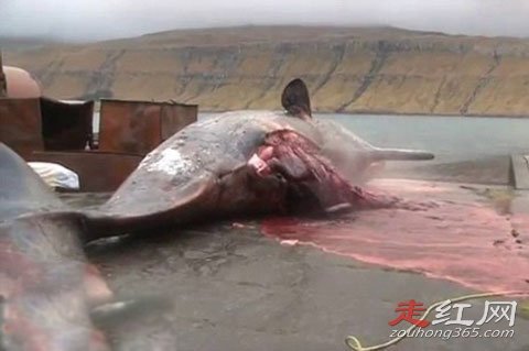 ���㱬ը��ԭ�� �����ж�������ʲô