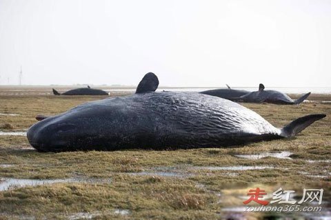 ���㱬ը��ԭ�� �����ж�������ʲô