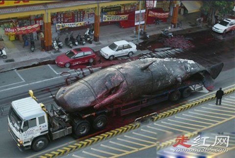 ���㱬ը��ԭ�� �����ж�������ʲô