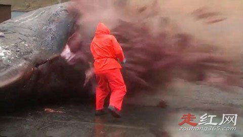 ���㱬ը��ԭ�� �����ж�������ʲô