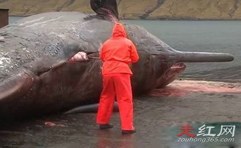 ���㱬ը��ԭ�� �����ж�������ʲô