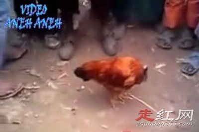 ������ͷ����������Ǽ� ����18���µ�����