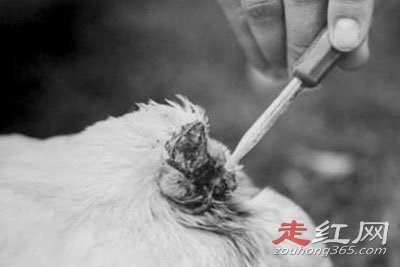 ������ͷ����������Ǽ� ����18���µ�����