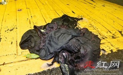 �����۰���������̩��״ ����������ȥ�����