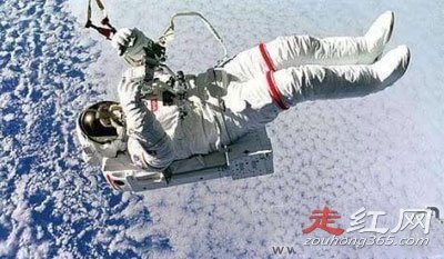 ̫�ո�ʬ�¼������ Ϊʲô�����ʬ��