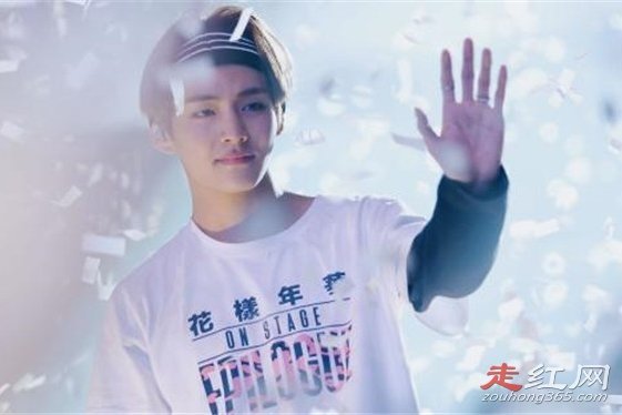 ��̩��Ϊʲô���� ��Ϊ��˾��������