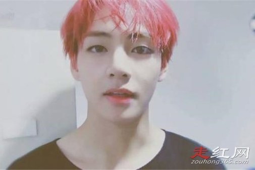 ��̩��Ϊʲô���� ��Ϊ��˾��������