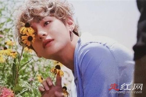 ��̩��Ϊʲô���� ��Ϊ��˾��������