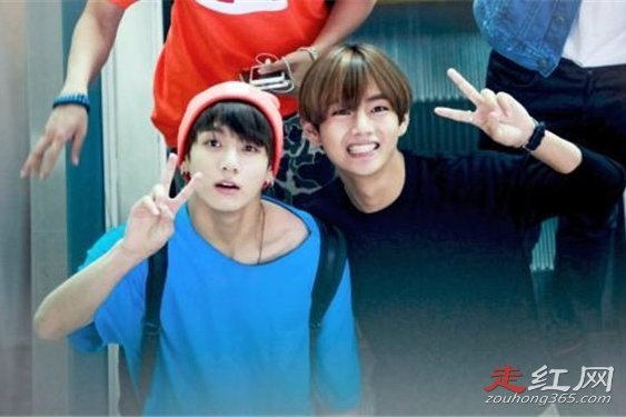 ��̩��Ϊʲô���� ��Ϊ��˾��������