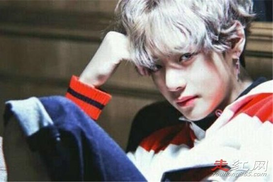 ��̩��Ϊʲô���� ��Ϊ��˾��������