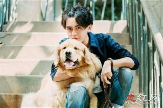 ����Ϊʲô������ ��������û�����鹤��