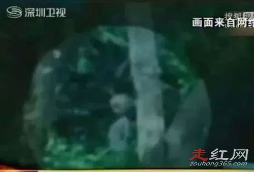 ��������ѷ�������¼������ �¼���Ҳ������Ƭ��֤