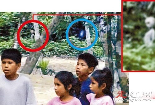 ��������ѷ�������¼������ �¼���Ҳ������Ƭ��֤