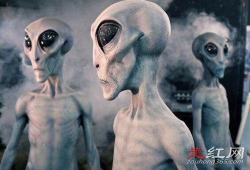 ��������ѷ�������¼������ �¼���Ҳ������Ƭ��֤