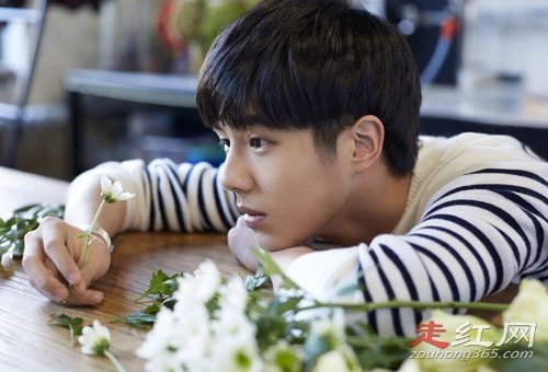 刘昊然是平顶山哪里的 他说自己家里面是军人家庭