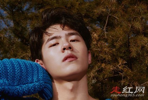 刘昊然是平顶山哪里的 他说自己家里面是军人家庭