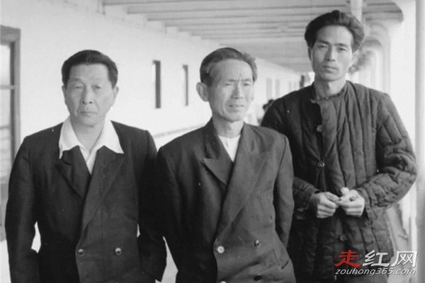 ��֥�¼���ԭ���Ӱ�� ������������ô����