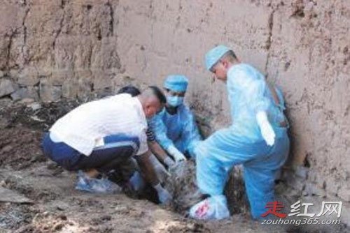 9��20������ʬ���о���� �������к����㵱ʱֻ��9��