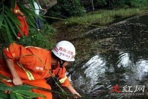 9��20������ʬ���о���� �������к����㵱ʱֻ��9��