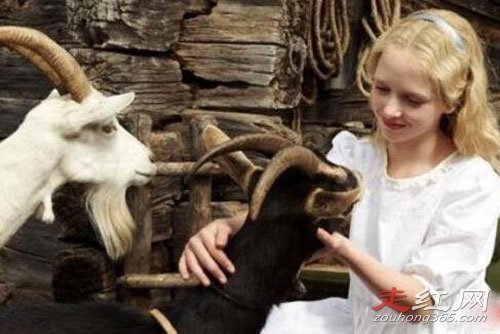 ���١�����˹�������̵Ĺ��� ���̾�Ȼ�ߴ�159