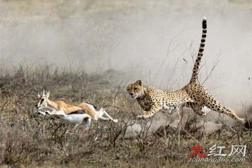 ��ʺ��˵����ԭ����ʲô ����������е�һö����