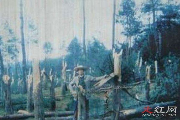 ���йֳ��¼�������ʲô ��������˵��̫��汾