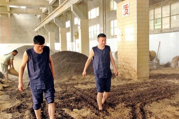 ����Ϊʲô����ƹ���� ��̫������������