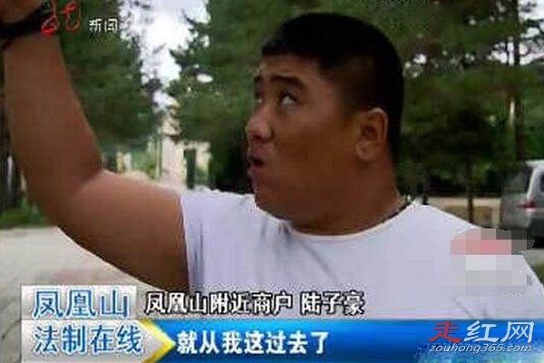 1994����������ɽ�¼�����ʵ���� ���ɫ���͡��ɵ���