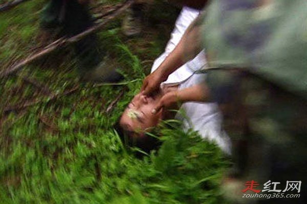 1994����������ɽ�¼�����ʵ���� ���ɫ���͡��ɵ���