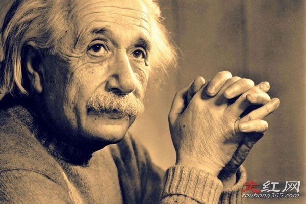 海蒂·汉金斯现状父母是谁 智商超过了爱因斯坦