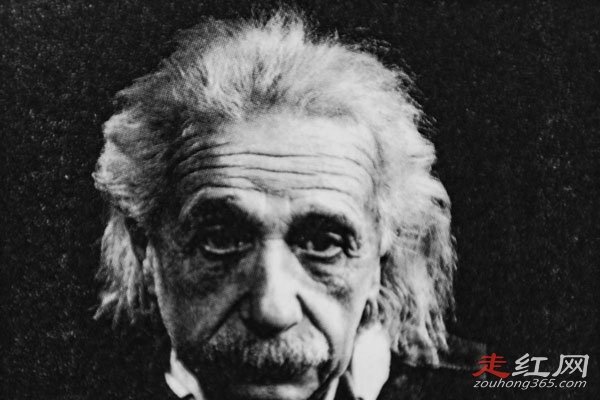 海蒂·汉金斯现状父母是谁 智商超过了爱因斯坦