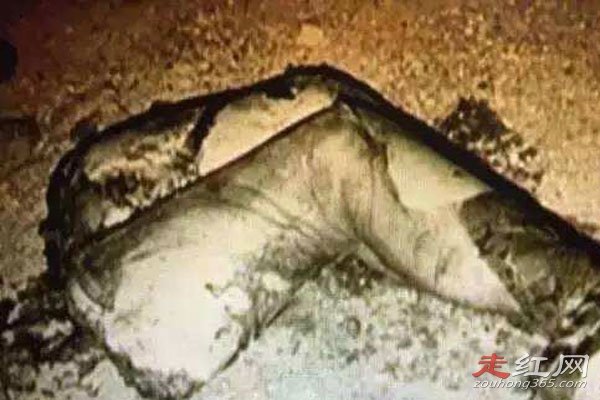 ��ҹ����������ɱ����ʲô ������ڱ�������˵�Ӱ