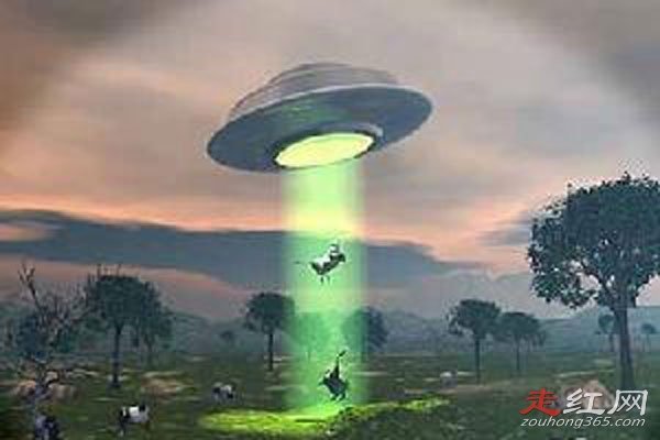 ��ţ�¼�������� ˵��ƭ�ֵ���Ҳ�кܶ�