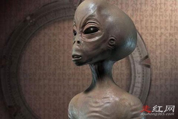 99���������ʲô�� ���������ֵ���������ס��