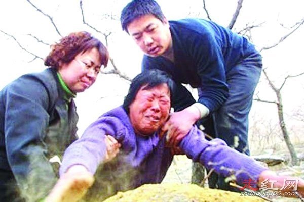 �����򰸼����� �ڲ��������в��ϲ���