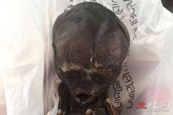 通俗一点说就是使用巫蛊之术完成自己目的的人,身上是有着很多纹身