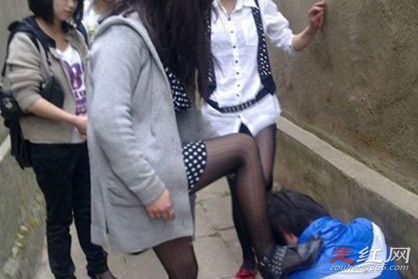 ��ССΪʲô�� ����һ���ƺŽ�����˿����