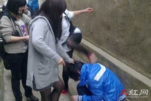 ��ССΪʲô�� ����һ���ƺŽ�����˿����