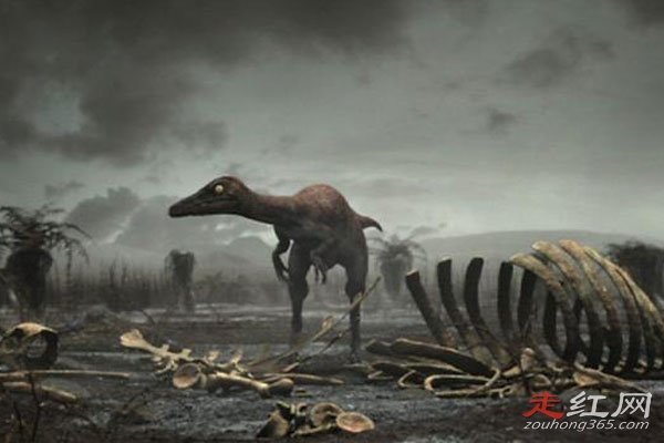 �����������Ѿ������ ���ڵ��Լ�����żһ��