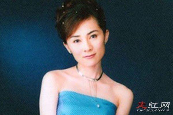 夏光莉老公蓝文青是谁 生意做到了房地领域