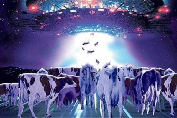 ufo��ţ�¼���ô���� �����������������